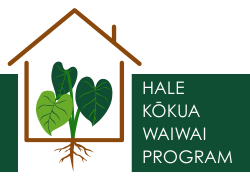 Hale%20k%c5%8dkua%20waiwai%20program%20newspost%20image%20%28250%20x%20180%20px%29
